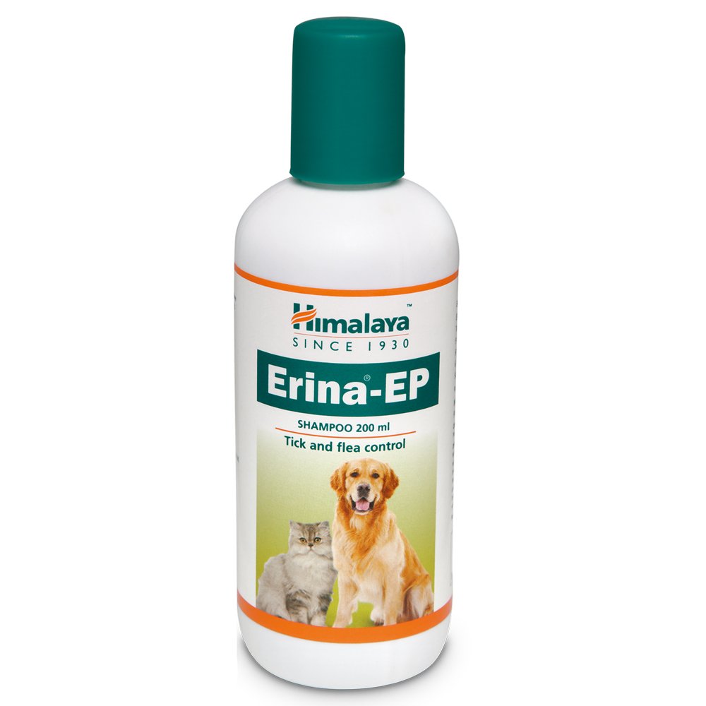 Tick and flea control shampoo for dogs