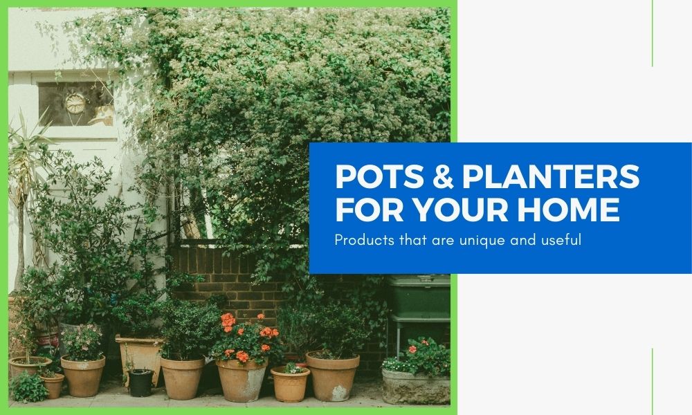 best pots and planters
